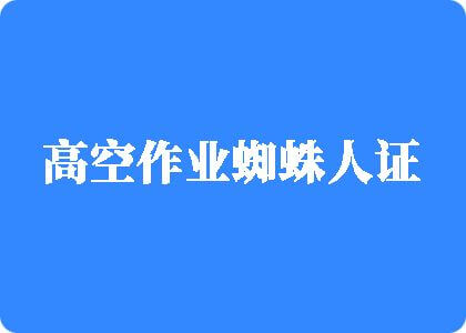 男人叽叽插入女生逼逼视频高空作业蜘蛛人证